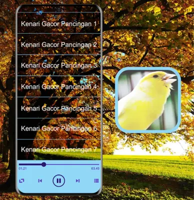 Masteran Kicau Burung Kenari android App screenshot 0