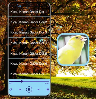 Masteran Kicau Burung Kenari android App screenshot 1