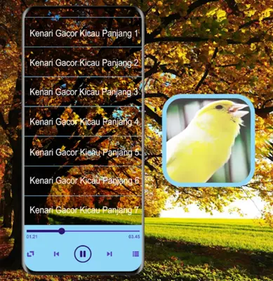 Masteran Kicau Burung Kenari android App screenshot 2